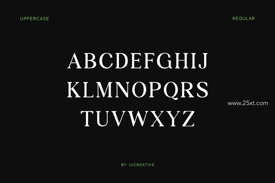 25xt-165843-Preparatori Moden Serif Font5.jpg