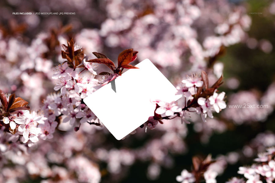 25xt-165945-Spring Tree Business Card Mockup2.jpg