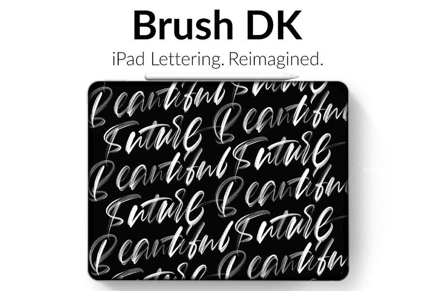 25xt-165955-Brush DK for Procreate1.jpg