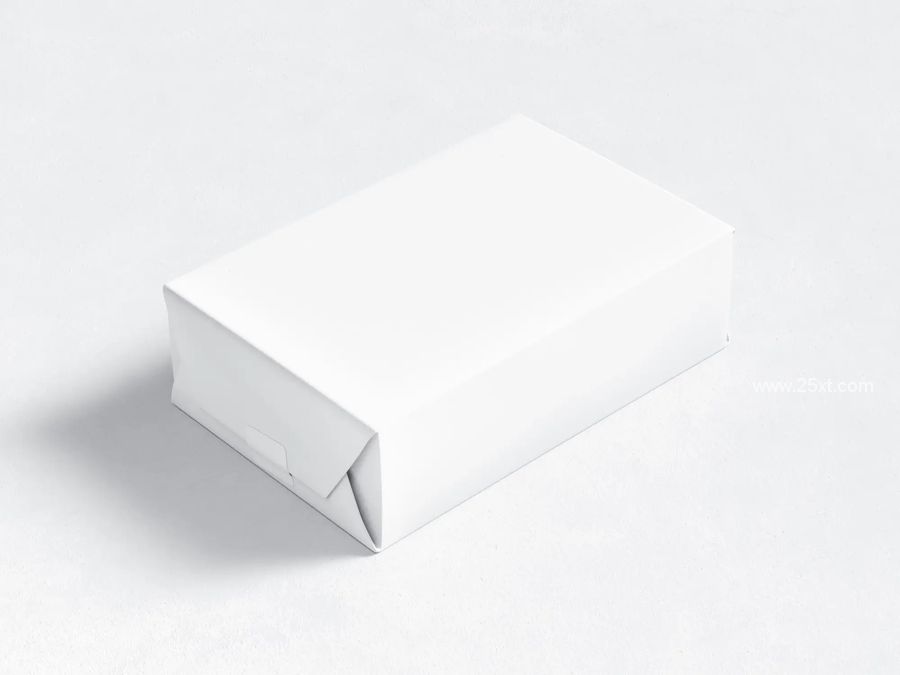 25xt-173333-Free Packaging Box Highest Quality Mockup.jpg