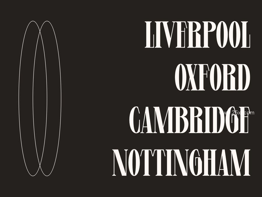 25xt-173615-Levine - Display Font (9).jpg