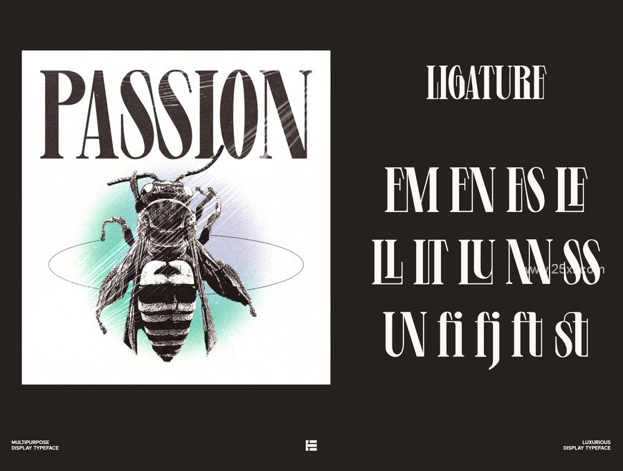 25xt-173615-Levine - Display Font (5).jpg