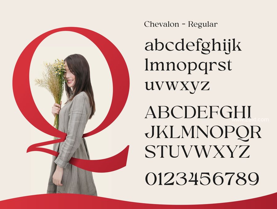 25xt-173633-Chevalon Fonts Family (9).jpg