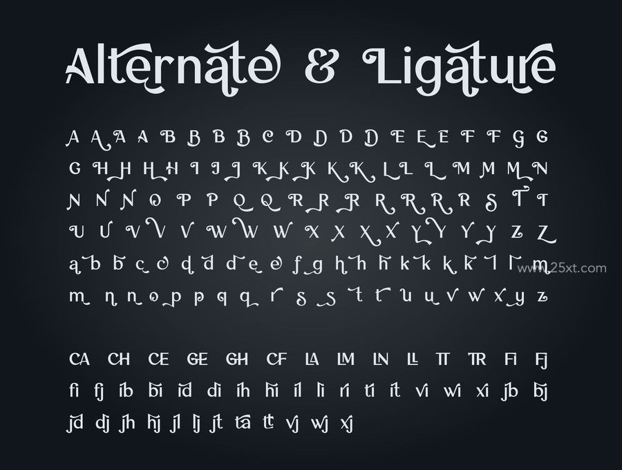 25xt-165995-Silver Miranda Font11.jpg