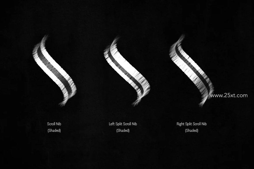 25xt-166035-The Bewitched Blackletter Brush Collection10.jpg