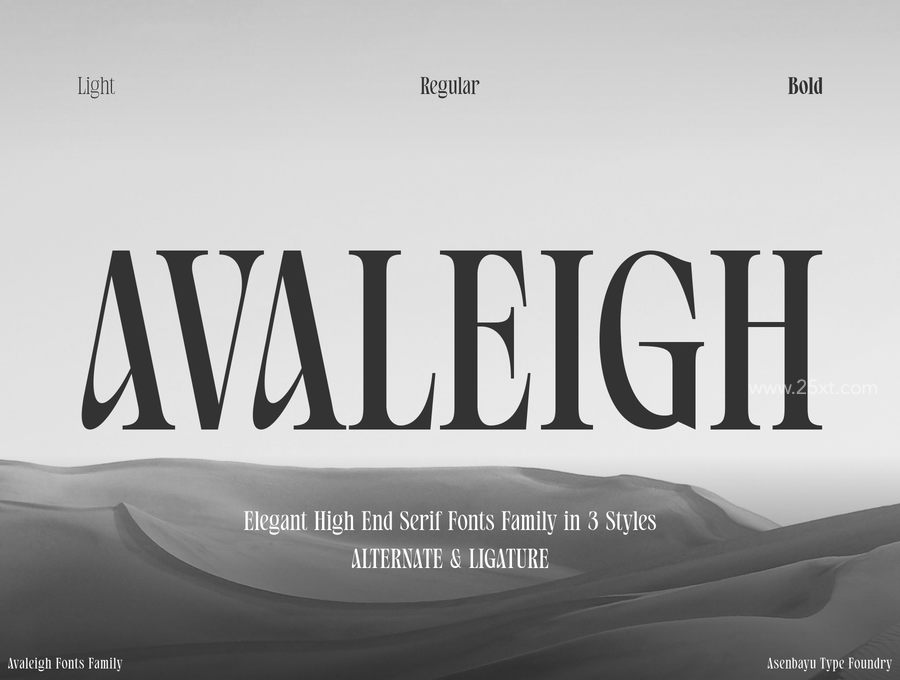 25xt-166043-Avaleigh Fonts Family1.jpg