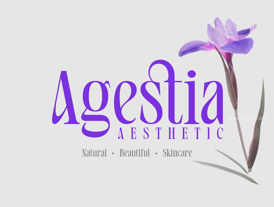25xt-166043-Avaleigh Fonts Family7.jpg