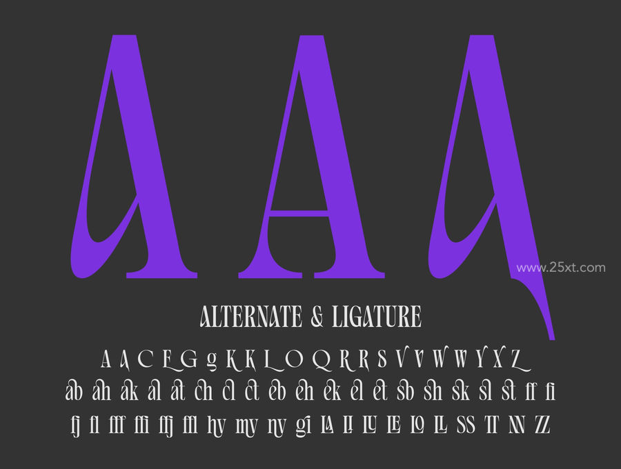 25xt-166043-Avaleigh Fonts Family10.jpg