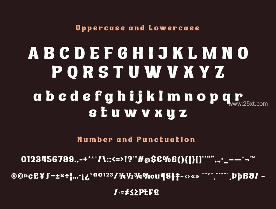 25xt-174140-Refhdisav Serif Classic Modernism6.jpg