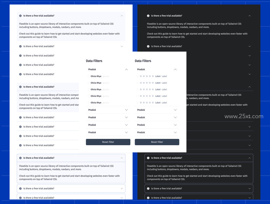 25xt-174233-Accordion FAQ Design System Starter UI Kits3.jpg