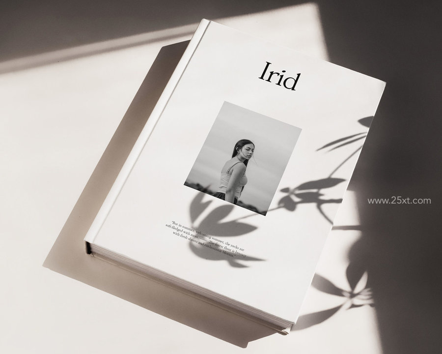 25xt-174421-IRID8.jpg