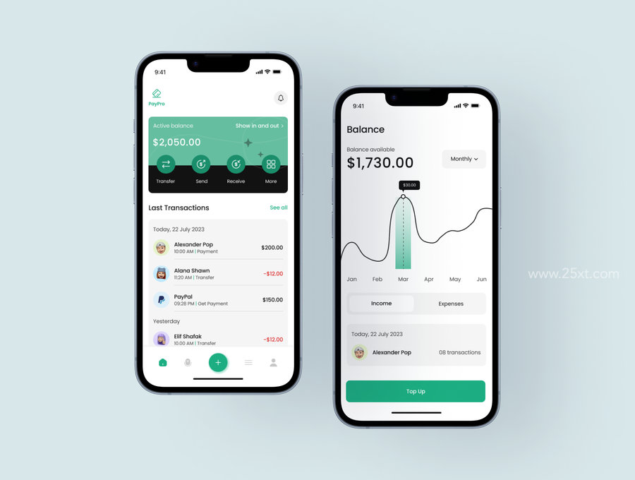 25xt-174532-Paypro - Finance App UI Kit4.jpg