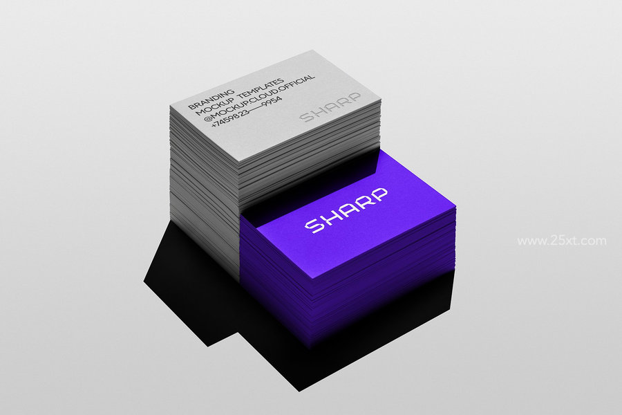 25xt-174595-Branding Mockups Sharp Collection11.jpg