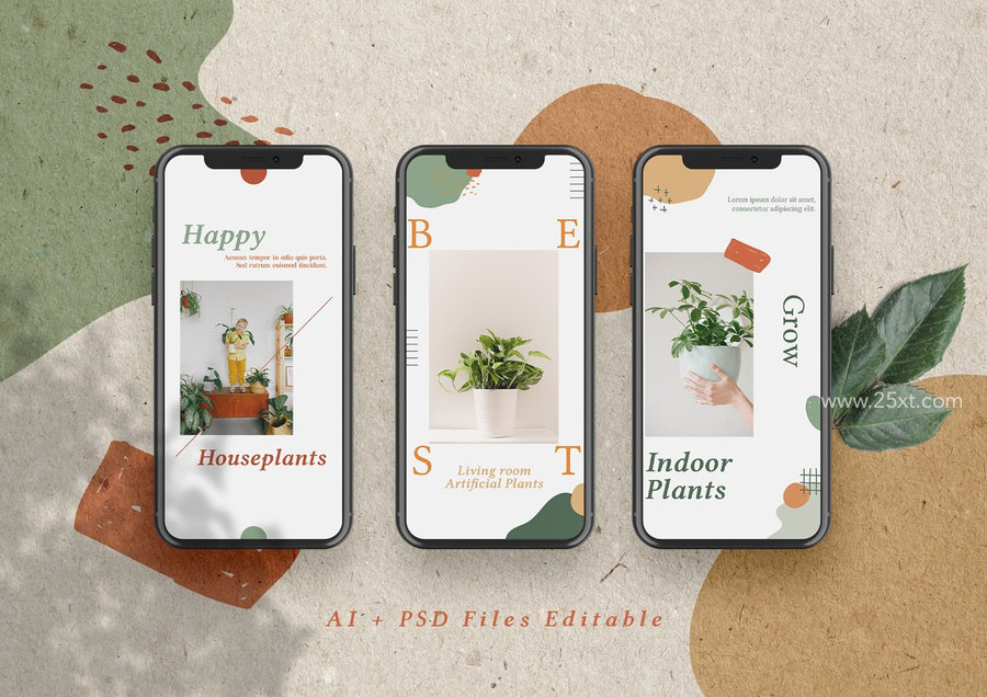 25xt-175018-Botanical Instagram Stories2.jpg