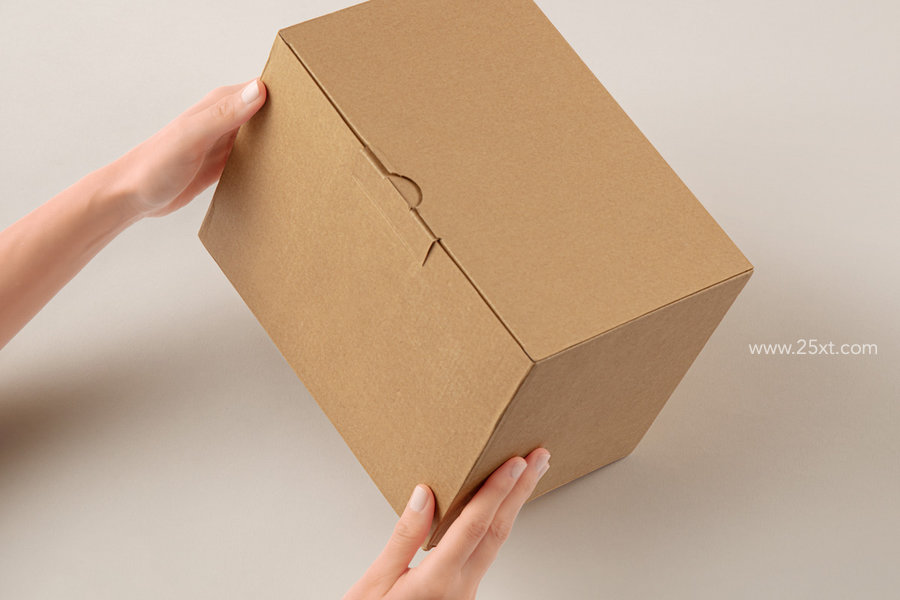 25xt-175152-Hands Holding Cardboard Psd Box Packaging1.jpg