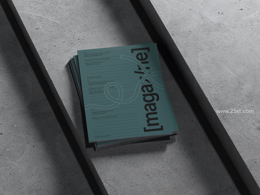 25xt-175220-Bode Magazine Mockups2.jpg