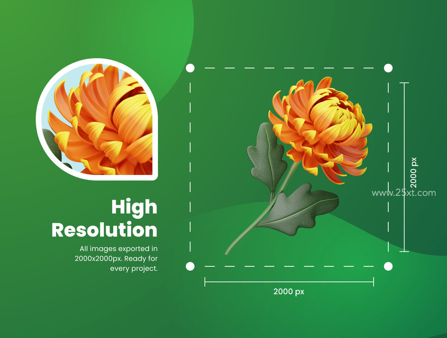 25xt-175472-3D Blossom Icons 2.jpg