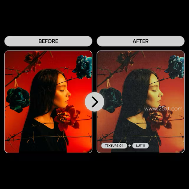 25xt-175672-Analog Looks5.jpg