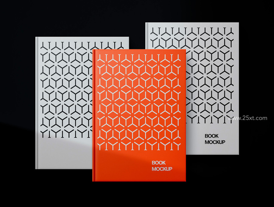 25xt-176104-Book Mockup Scenes7.jpg