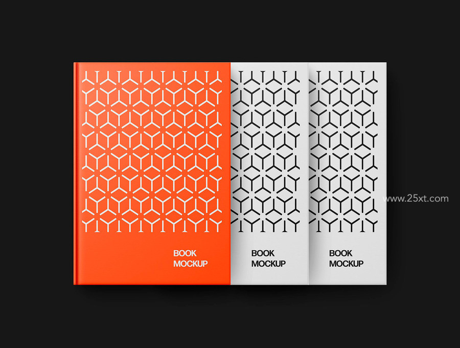 25xt-176104-Book Mockup Scenes6.jpg