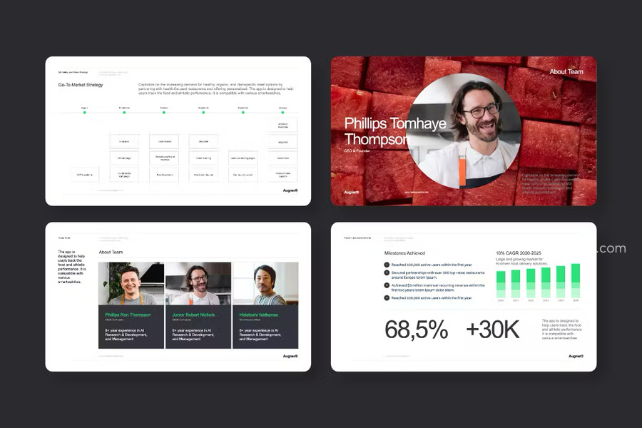 25xt-176143-AugnerModernBusinessPresentationPowerpoint8.jpg