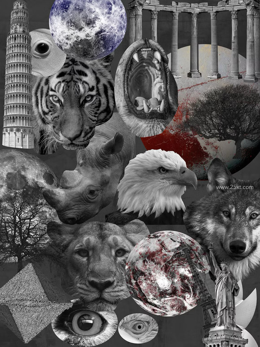 25xt-176322-MONOCHROME collage pack14.jpg