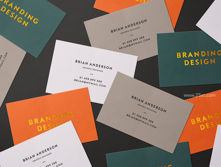25xt-176470-Selva Business Card Mockup Kit3.jpg