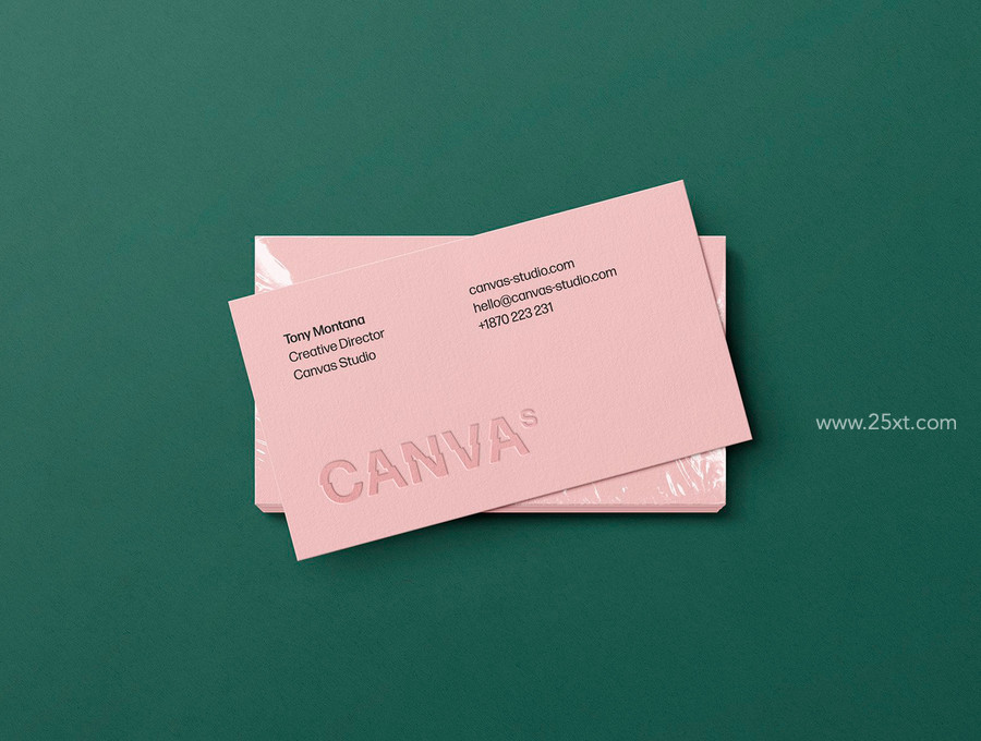 25xt-176470-Selva Business Card Mockup Kit4.jpg