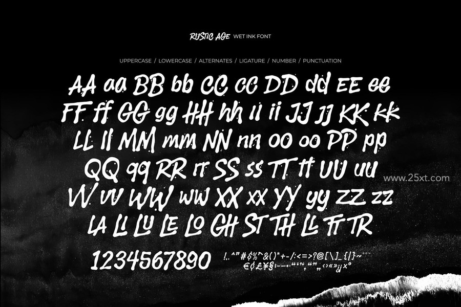25xt-176869-Rustic Age — Wet Ink Font 6.jpg