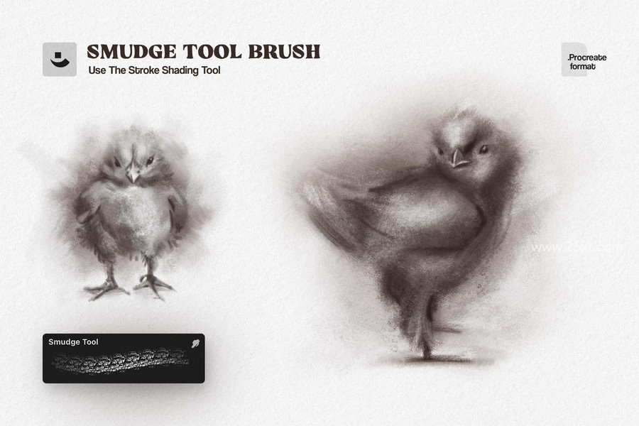 25xt-176879-Charcoal Sketch Procreate Brushes6.jpg