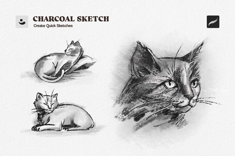 25xt-176879-Charcoal Sketch Procreate Brushes5.jpg