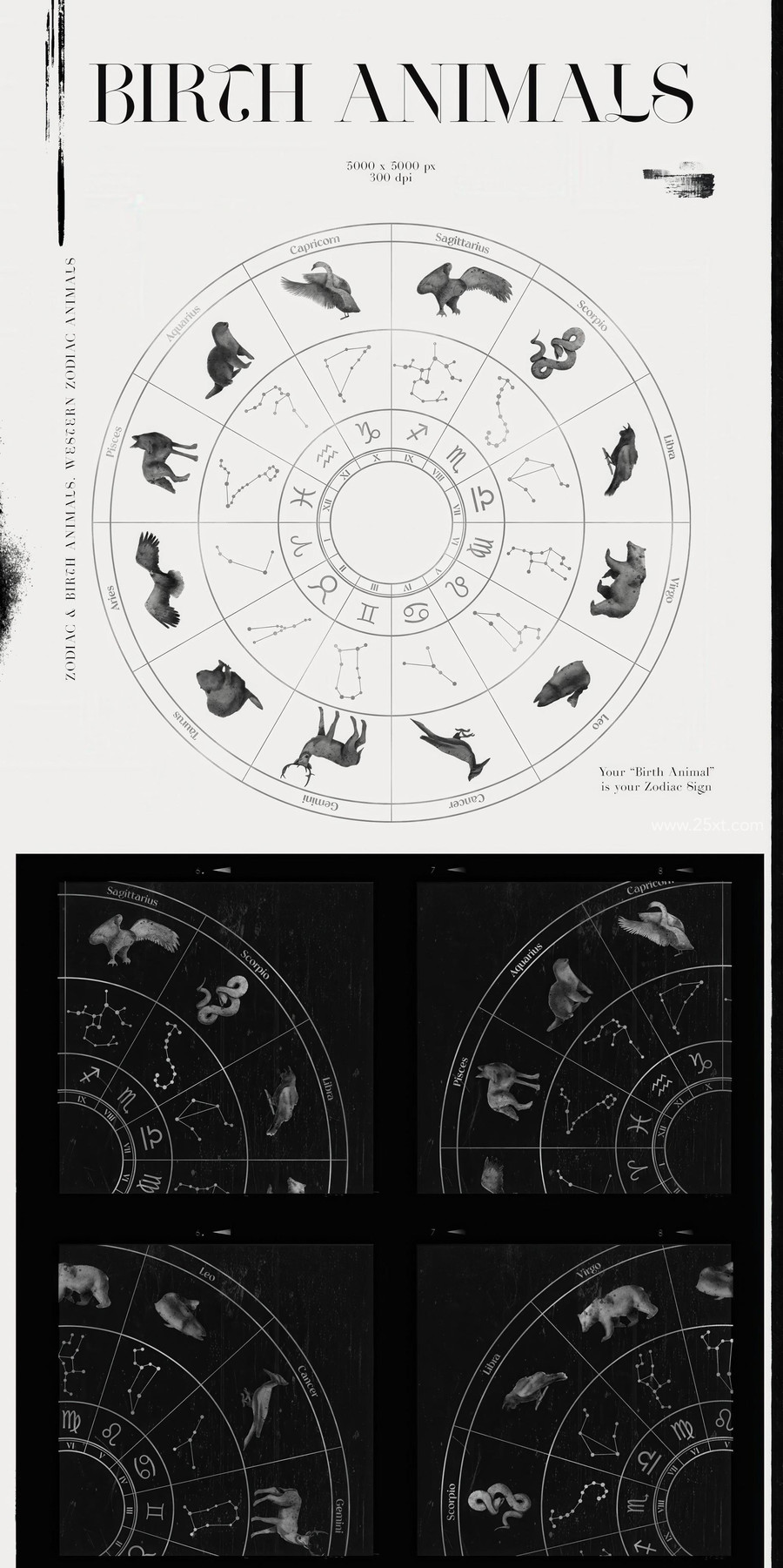 25xt-177027 Spirit Animals. Oracle Cards 10.jpg