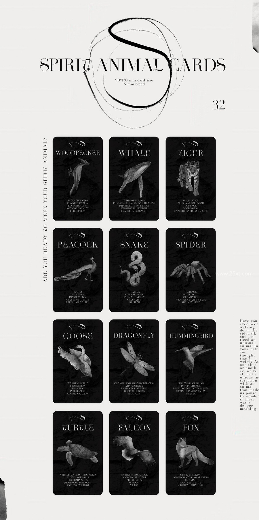 25xt-177027 Spirit Animals. Oracle Cards 3.jpg
