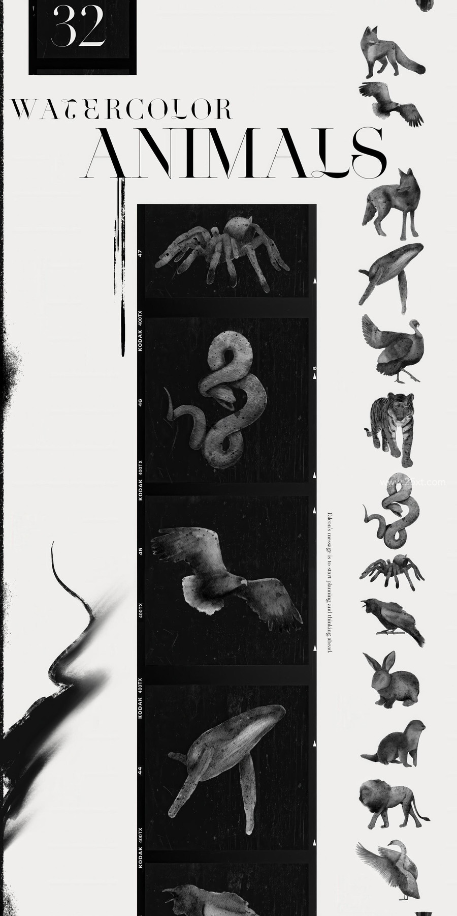 25xt-177027 Spirit Animals. Oracle Cards 6.jpg