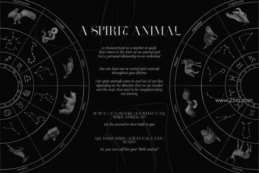 25xt-177027 Spirit Animals. Oracle Cards 2.jpg