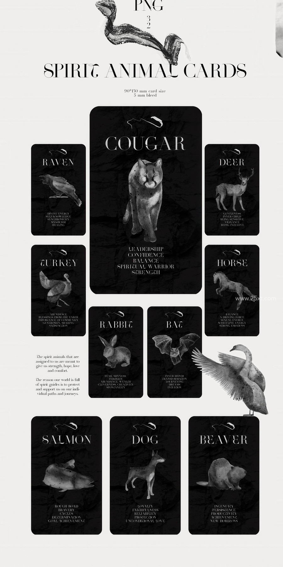 25xt-177027 Spirit Animals. Oracle Cards 4.jpg